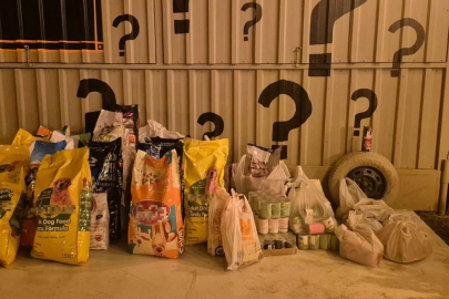 İzmir'de 'Dünya Köpek Günü’nde patili dostlar için 600 kilo mama toplandı