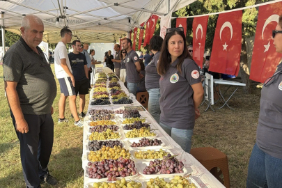 Tekirdağ'da 'Bağ Bozumu Şenliği' düzenlendi