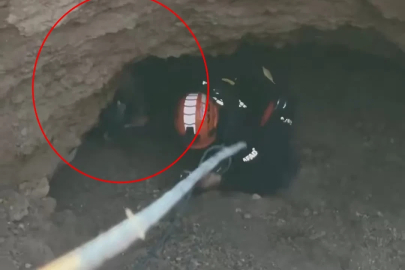 Obrukta mahsur kalan keçiyi AFAD ekipleri kurtardı