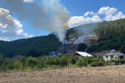 Bursa'da orman yangını