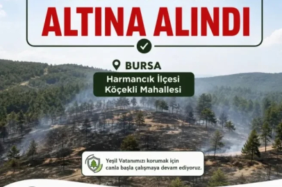 Bursa'da orman yangını (3)