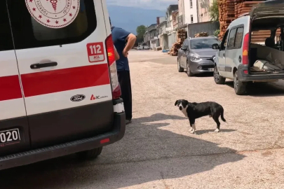 Köpeğe çarpmamak için manevra yapınca motosikleti devrilip, yaralandı