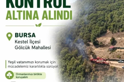 Bursa'da orman yangını (2)