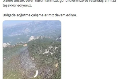  Antalya'daki orman yangını 22 saatte kontrol altına alındı (2)