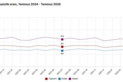 TÜİK: İşsizlik oranı yüzde 8,1 seviyesinde gerçekleşti
