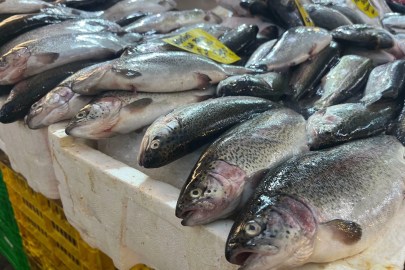 İzmir'de av sezonu başladı, balık tezgahlarında çeşitlilik arttı