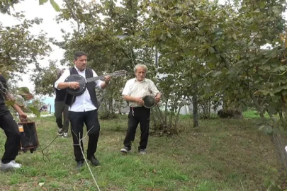Fındık bahçesinde hasada ‘çalgılı mola’