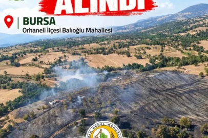 Bursa’da orman yangını- Yeniden