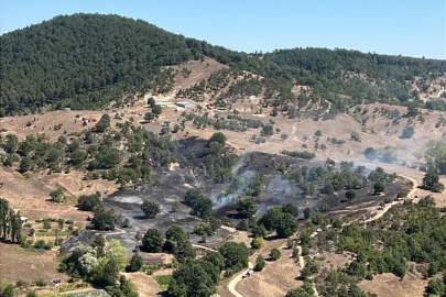 Bursa’da anız yangınında alevler ormana sıçramadan söndürüldü
