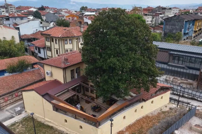 Kökleri 3 asra, hatırası Zeki Müren’e uzanan manolya ağacının altında vefa nöbeti