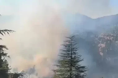 Adana'da 2 farklı bölgede orman yangını