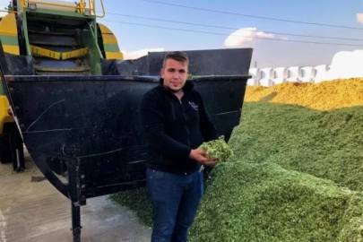 Besicilerin silajlık mısıra ve samana talebi arttı