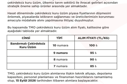 TMO'nun çekirdeksiz kuru üzüm alım fiyatı belirlendi