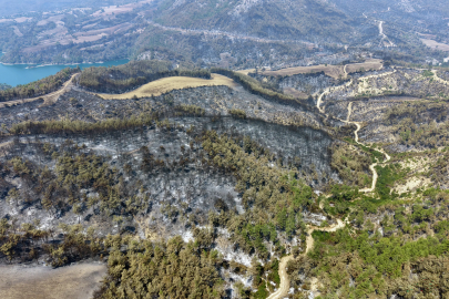 Kozan’da başlayıp, 2 ilçeye daha sıçrayan orman yangını 3’üncü gününde (2)