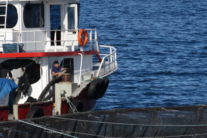 COP31 öncesi öğrencilerden Karadeniz’e yakın mercek