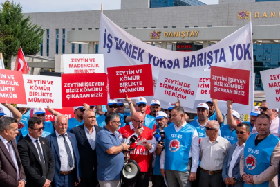 Milaslı muhtarlar ve işçilerden Danıştay önünde 'kamulaştırma davası' açıklaması