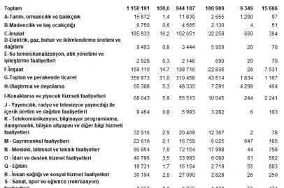 TÜİK: En fazla firma toptan ve perakende ticaret sektöründe yer aldı