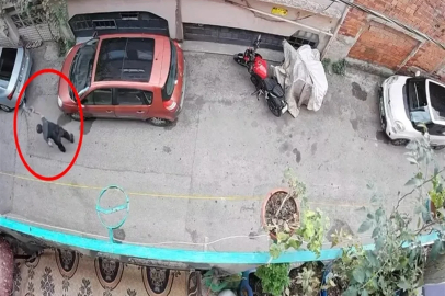 Bursa'da kucağındaki kediye şiddet uygulayan şüpheli yakalandı 
