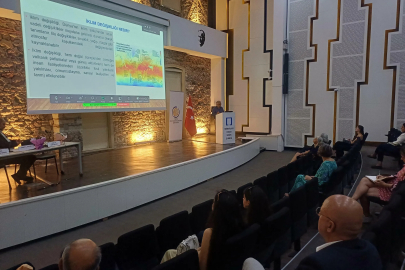 '2050'de beklediğimiz sıcaklıkları 2025'te yaşadık'