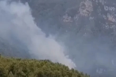 Hatay'da orman yangını