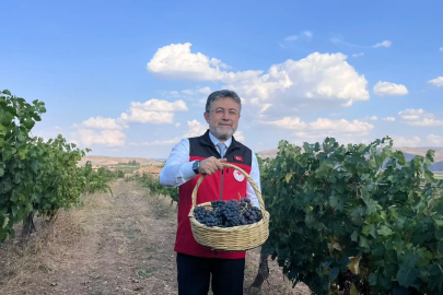 Bakan Yumaklı: Bu sene 3 milyon 850 bin tonluk bir üzüm üretimi gerçekleşecek