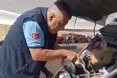 Minibüsün motoruna sıkışan yavru kedi kurtarıldı 