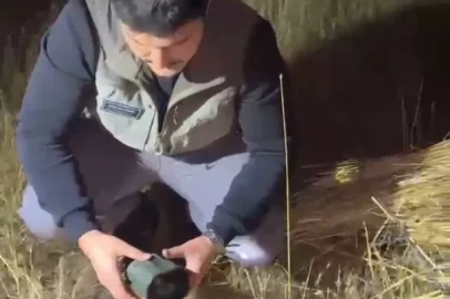 Doğa Koruma'dan kullanımı yasak ses cihazlarına karşı mücadele