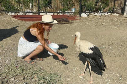 Sitenin bahçesine konan leyleğe sahip çıkıp, balık ve etle besliyorlar