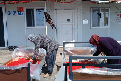 Depremzede kadınların 'salça' ve 'kurutmalık' telaşı 