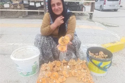 Dağlardan saatlerce yürüyerek toplanan mantarlar, pazarda kilosu 250 TL’ye satılıyor