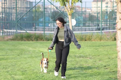 Nilüfer’de barınaktaki sahipsiz köpekler için farkındalık etkinliği