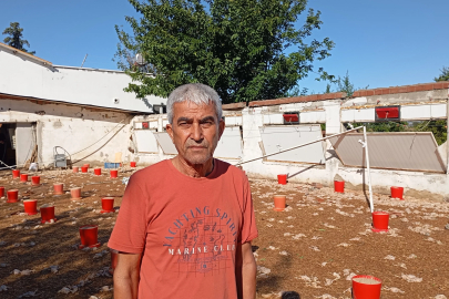 Adana'da hortumda zarar gören çiftliklerdeki 20 bin civciv öldü