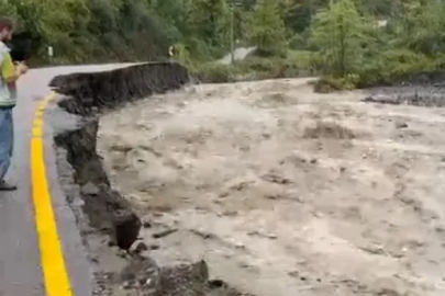 Sakarya'da dere taştı; su baskınları yaşandı (7)