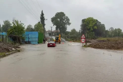 Sakarya'da dere taştı; su baskınları yaşandı (3)