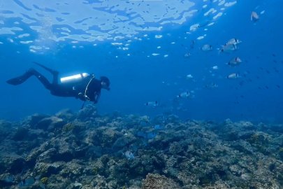 Saros Körfezi'nde su altı sezonu sona erdi; 25 bin dalış gerçekleştirildi 