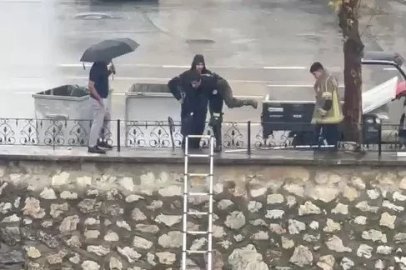Yağmurda dereye sürüklenen yavru kediyi kurtarmak için zamanla yarıştılar