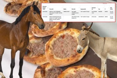 Bursa'da Sucukta ve Cantık'ta At ve Eşek Eti Tespit Edildi!