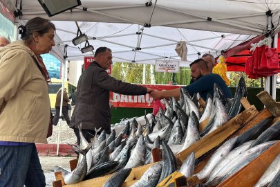 Zonguldak’ta 1 ayda bin ton balık yakalandı