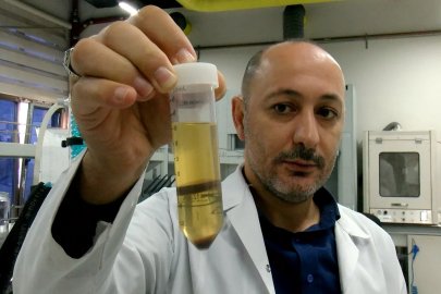 Hayvan yemi olarak kullanılan fındık posası, tüketilebilir protein kaynağına dönüşecek 