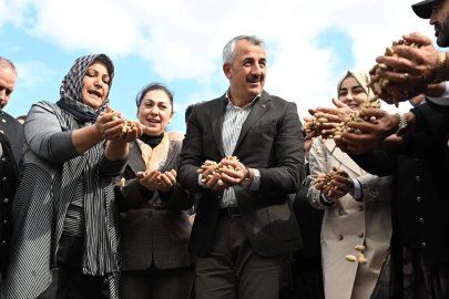  Edirne'de  'Meriç Alibeyköy Fıstık Hasadı Şenliği' düzenlendi
