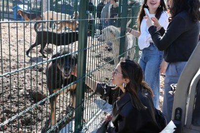 Nilüfer’de sahipsiz hayvanlar için ‘Umut Ağacı’ açıldı