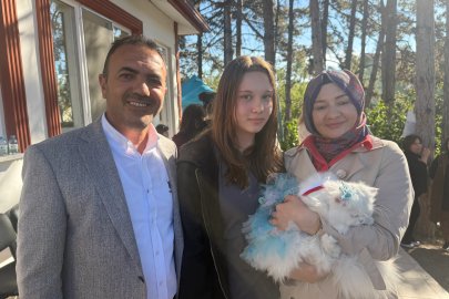 Tokat'ta kediler güzellik yarışmasında podyuma çıktı
