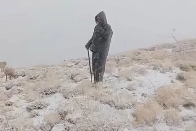 Ovacık'ta yaylaya kar yağdı
