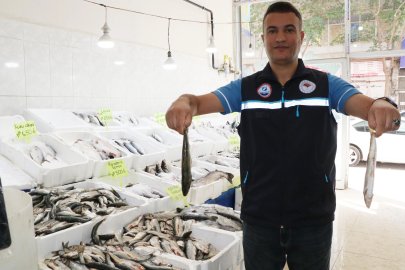 Van Gölü'nde inci kefalinin boyu, koruma çalışmalarıyla yüzde 30 uzadı