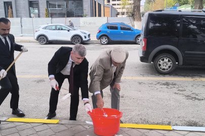 Valilik personeli, bordür taşlarını boyadı