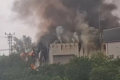 Mersin'de tütün işleme tesisinde yangın