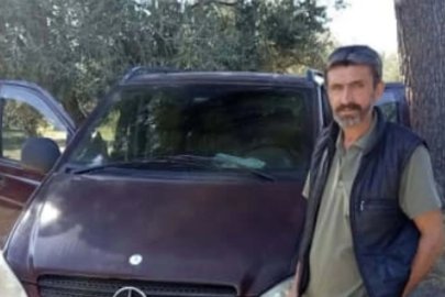 Zeytin toplarken arı soktu, hayatını kaybetti