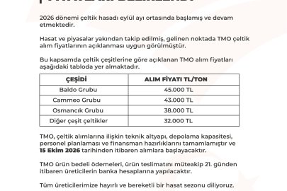 TMO çeltik alım fiyatları belirlendi