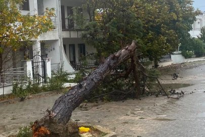 Tekirdağ'da fırtına; eğitim uçuşları iptal edildi, balıkçılar denize açılamadı (3)