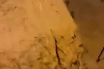 Kocaeli’de sağanak su baskınlarına neden oldu